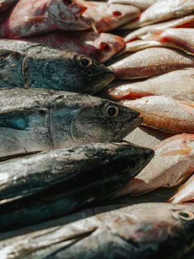 🐟 Pescados y mariscos